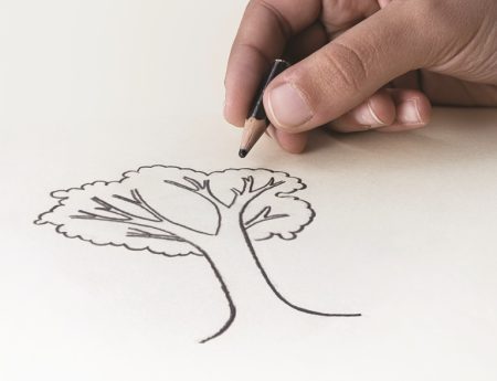 Leitura e criação